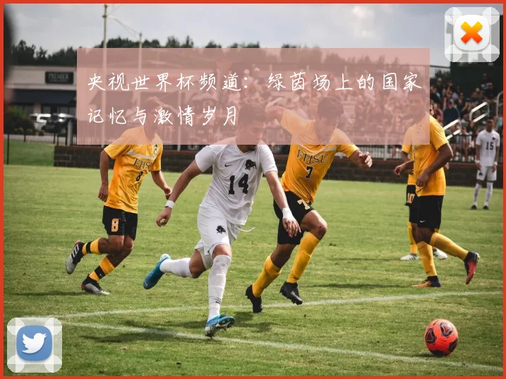 央视世界杯频道:绿茵场上的国家记忆与激情岁月