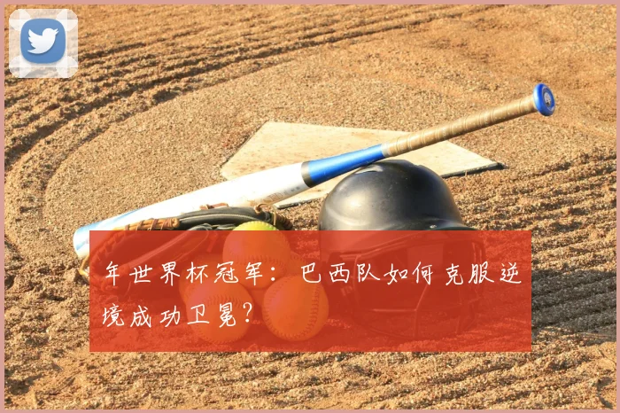 年世界杯冠军:巴西队如何克服逆境成功卫冕?