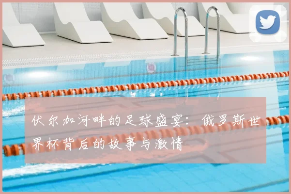 伏尔加河畔的足球盛宴：俄罗斯世界杯背后的故事与激情
