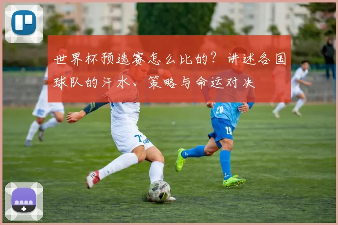 世界杯预选赛怎么比的?讲述各国球队的汗水、策略与命运对决