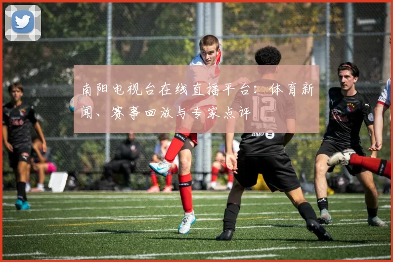 南阳电视台在线直播平台：体育新闻、赛事回放与专家点评