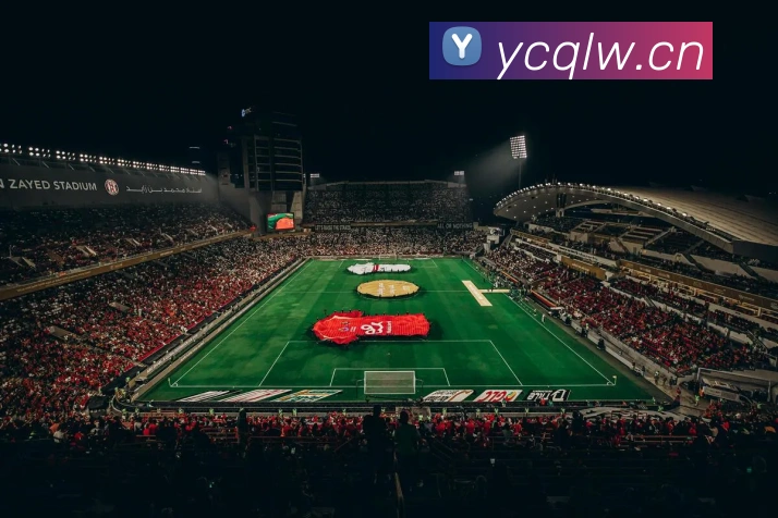 星空体育(中国)官网APP 封面图